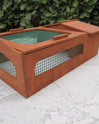 Terrario tartarughe fondo libero o rete 60x40x20h