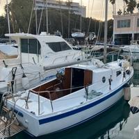 Barca in legno