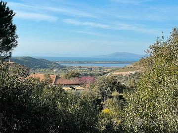 Terreno boschivo - agricolo