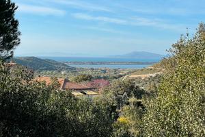 Terreno boschivo - agricolo