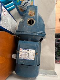 Motore acqua pedrollo