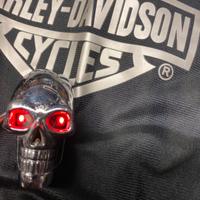Luce teschio Harley Davidson