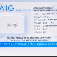 2 diamanti 0,58 E-F SI2 Excellent