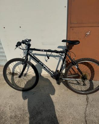 Bicicletta