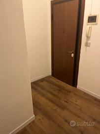 Appartamento ristrutturato