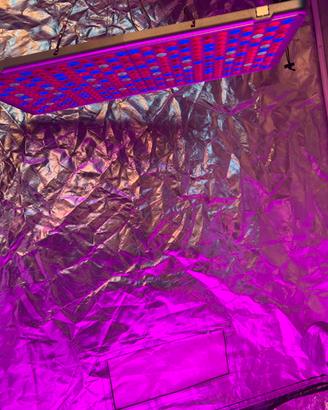 Grow box completo lampada led e ventola aria