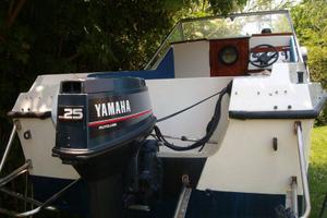 Motore Fuoribordo Yamaha 25QETO - Top 700