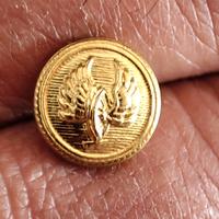 Vintage. Antichi bottoncini delle F.S. in metallo 