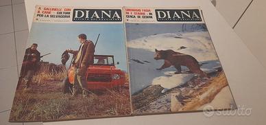 2 Diana rivista del cacciatore 1971