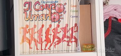 Esplorando il corpo umano