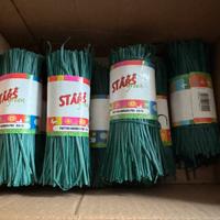 Piattina animata PVC