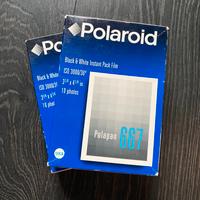 Polaroid Polapan 667