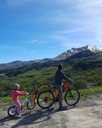 Traino bici bambino Peruzzo Trail Angel