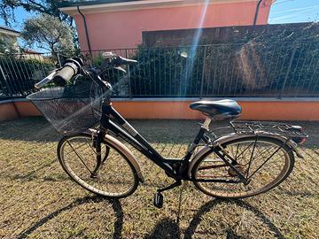 Bicicletta domna con cestino