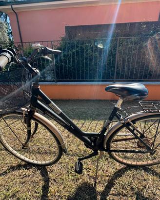 Bicicletta domna con cestino