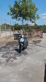 beverly 350 ASR 2020