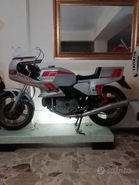Ducati Pantah