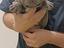Immagine 2