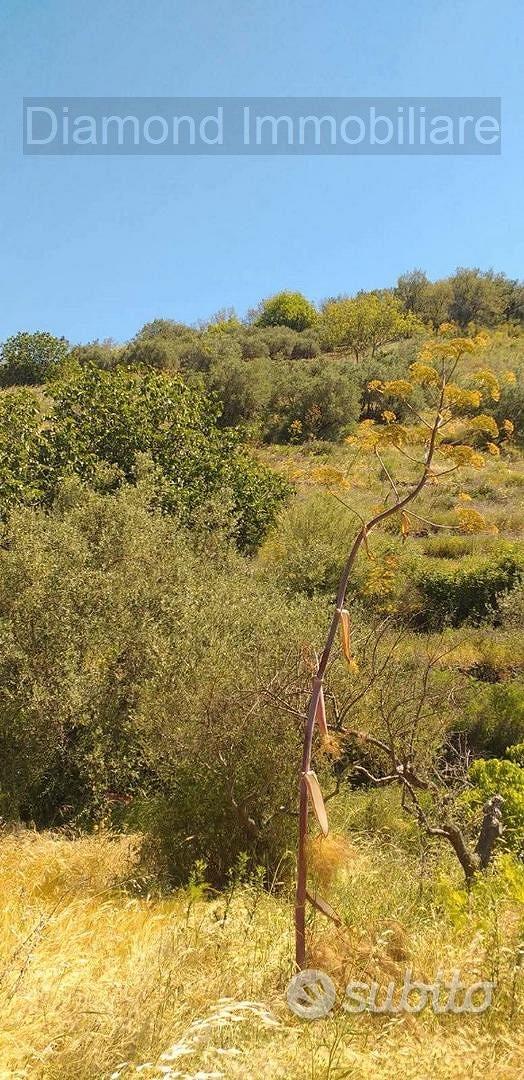 Terreno agricolo a Linguaglossa - Vista 5