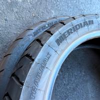 Coppia Dunlop Trailmax Meridian