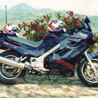 Suzuki GSX 1100 F - 1988