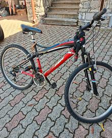 bicicletta montan bike con cambio  shark bay 