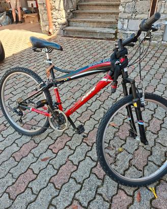bicicletta montan bike con cambio  shark bay 
