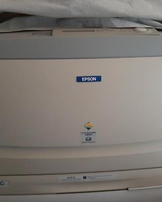 Epson acculaser c8600