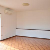 Begliano: casa con giardino