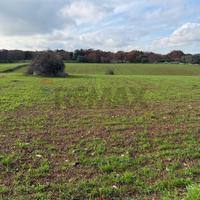 Terreno Edificabile - Martina Franca