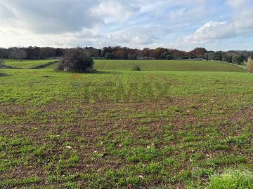 Terreno Edificabile - Martina Franca