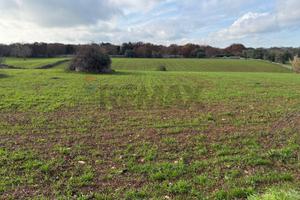 Terreno Edificabile - Martina Franca