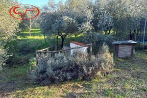 Terreno di 1768 m² a Montevarchi