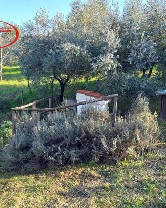 Terreno di 1768 m² a Montevarchi