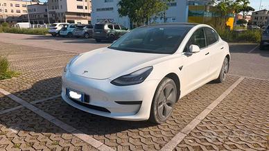 Tesla Model 3 standar 2019
