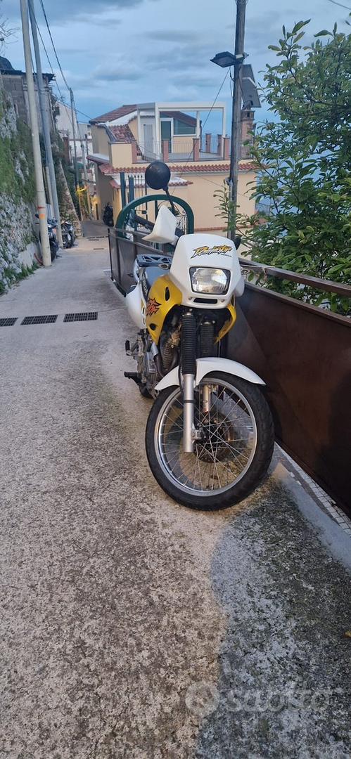 Honda dominator - Moto e Scooter In vendita a Salerno