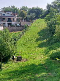 Terreno agricolo