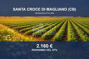 Immobile in asta di 14070 m² a Santa Croce di Magl