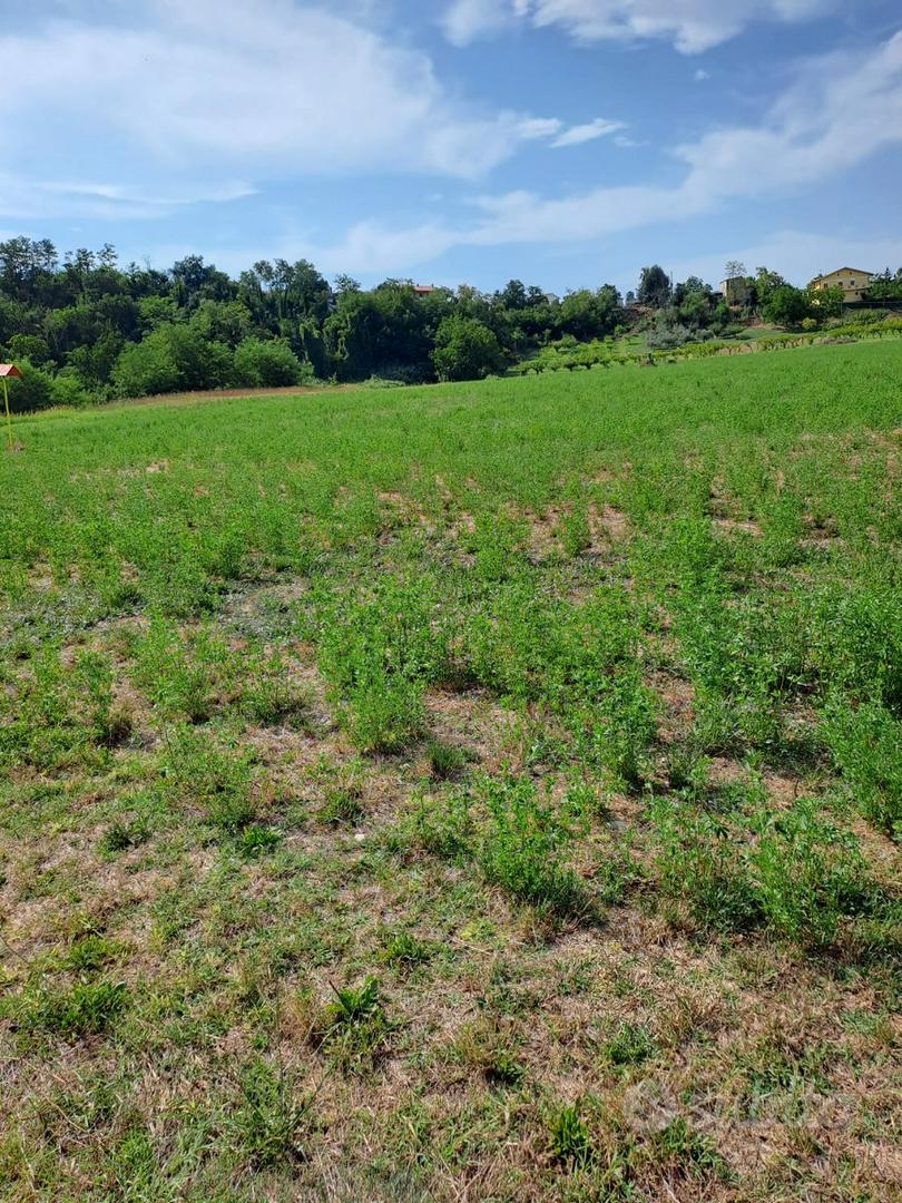 Rif 201b terreni agricoli e lotto edificabile a lo - Vista 5