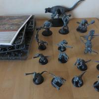 WARHAMMER AGE OF SIGMAR SERAPHONE