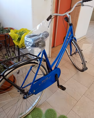bicicletta olanda usata in acciaio 