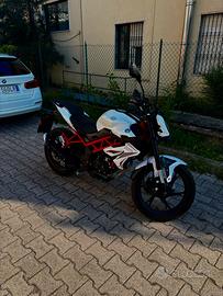 BENELLI BN 125 2023
