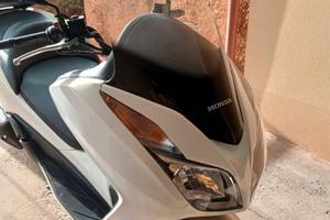 Forza 300