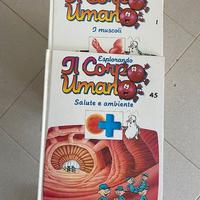 Il corpo umano