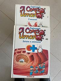 Il corpo umano