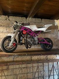 Mini moto