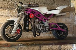 Mini moto