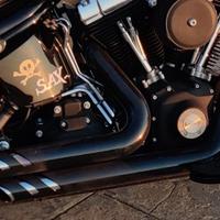 SCARICO  VANCE & HINES - HARLEY DAVIDSON SOFTAIL