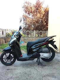 SH 300 /2010 / 1800 euro 