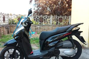 SH 300 /2010 / 1800 euro 